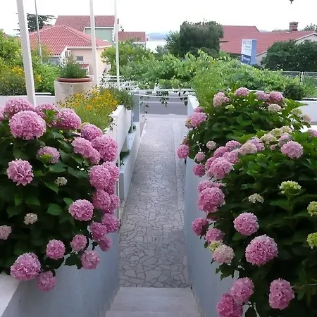 Guest house Nima 4*