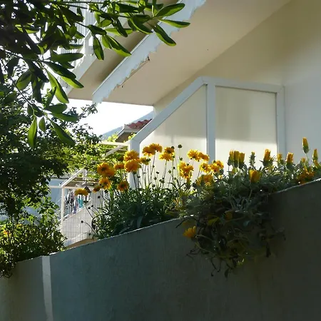 Nima Гостевой дом Оребич