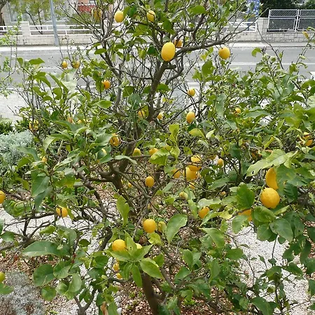 Casa de hóspedes Nima 4*